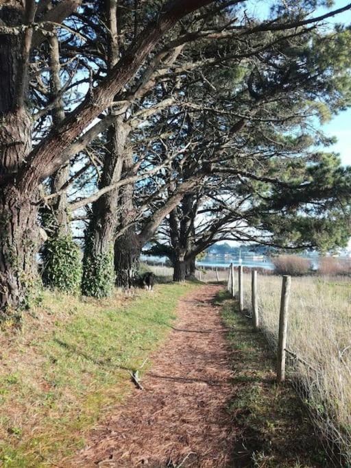 Chalet Cosy, Plages A Pieds. Morbihan. Plouhinec  Exterior foto